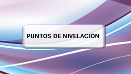 PUNTOS DE NIVELACION